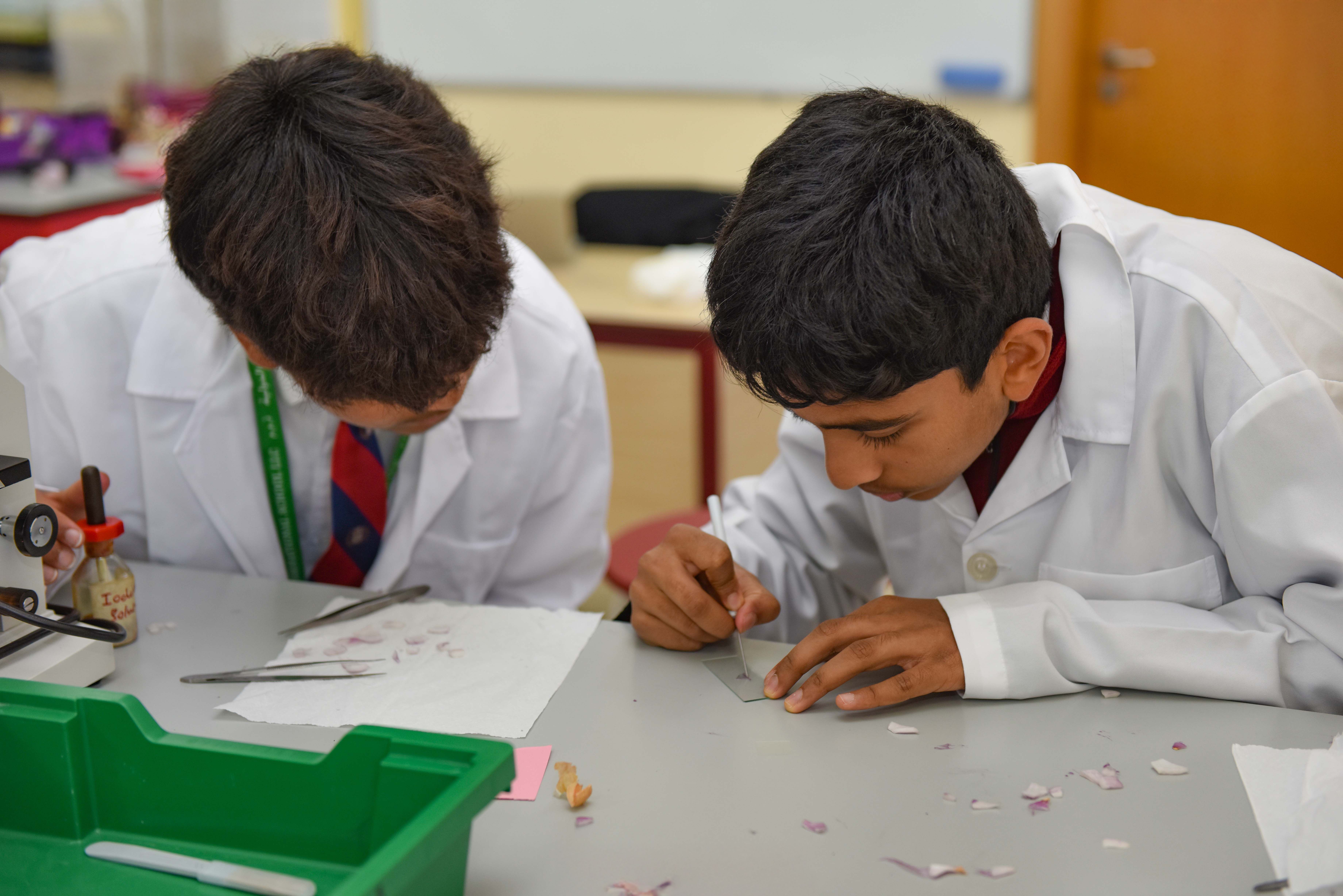 image - 2025-09-18T090710.550.jpg