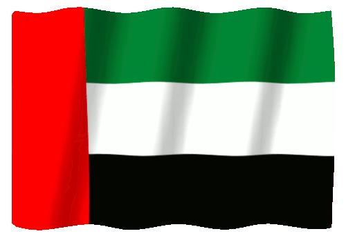 UAE Flag
